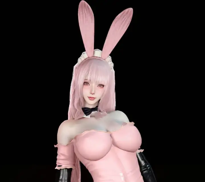 Dnaddr.PinkMaid_P_v1_5_25_10_24.1-muyii社区